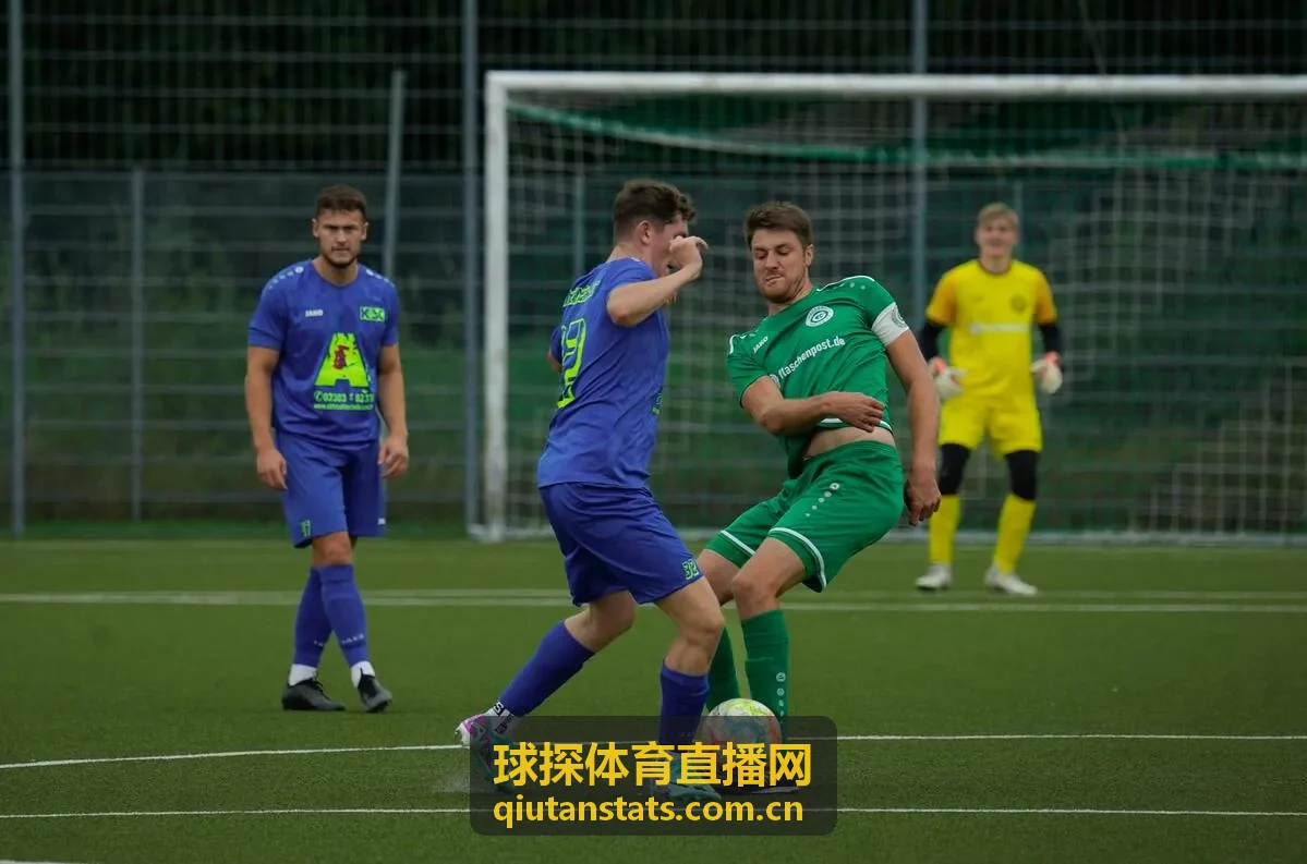 球探体育直播网巴西队赛事追踪